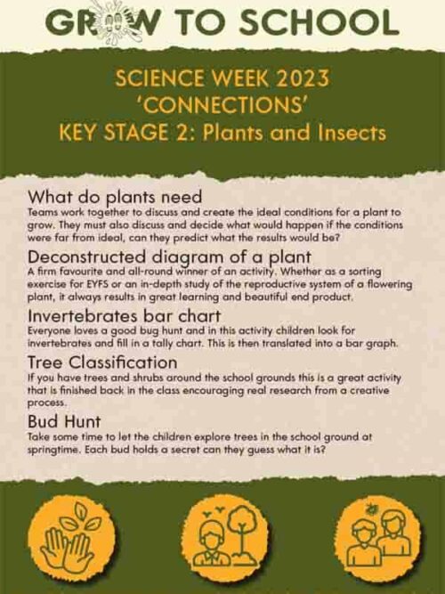 Science week 2023 'Connections'  Plants and Insects